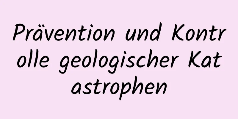 Prävention und Kontrolle geologischer Katastrophen