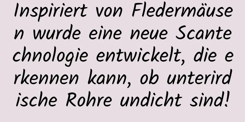 Inspiriert von Fledermäusen wurde eine neue Scantechnologie entwickelt, die erkennen kann, ob unterirdische Rohre undicht sind!