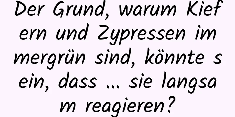 Der Grund, warum Kiefern und Zypressen immergrün sind, könnte sein, dass ... sie langsam reagieren?