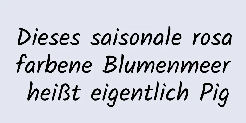 Dieses saisonale rosafarbene Blumenmeer heißt eigentlich Pig