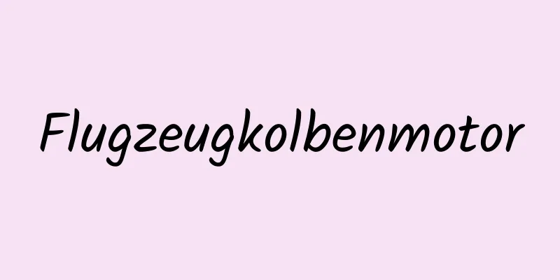 Flugzeugkolbenmotor