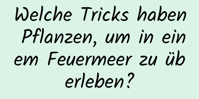 Welche Tricks haben Pflanzen, um in einem Feuermeer zu überleben?