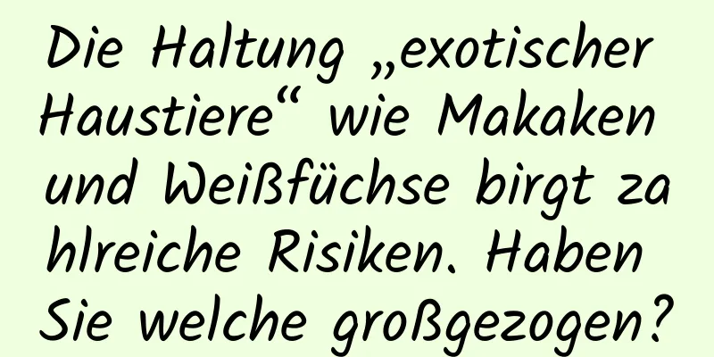 Die Haltung „exotischer Haustiere“ wie Makaken und Weißfüchse birgt zahlreiche Risiken. Haben Sie welche großgezogen?