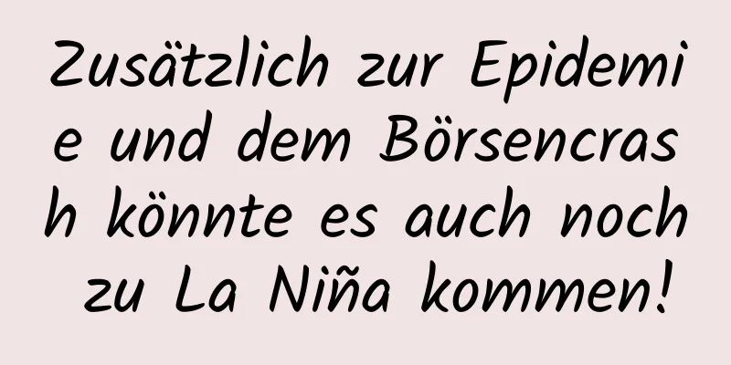 Zusätzlich zur Epidemie und dem Börsencrash könnte es auch noch zu La Niña kommen!