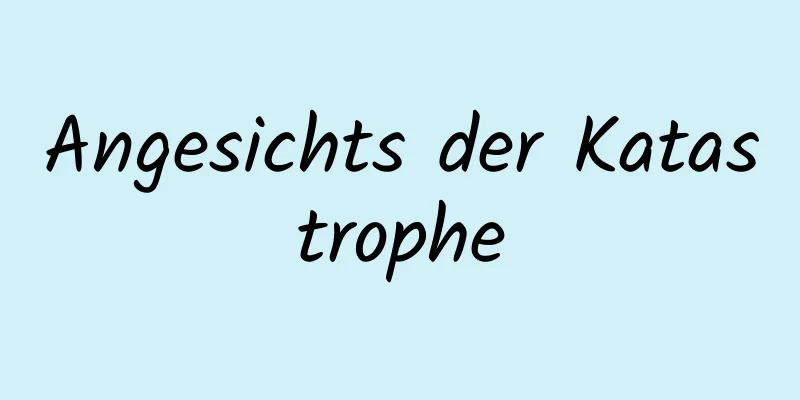 Angesichts der Katastrophe