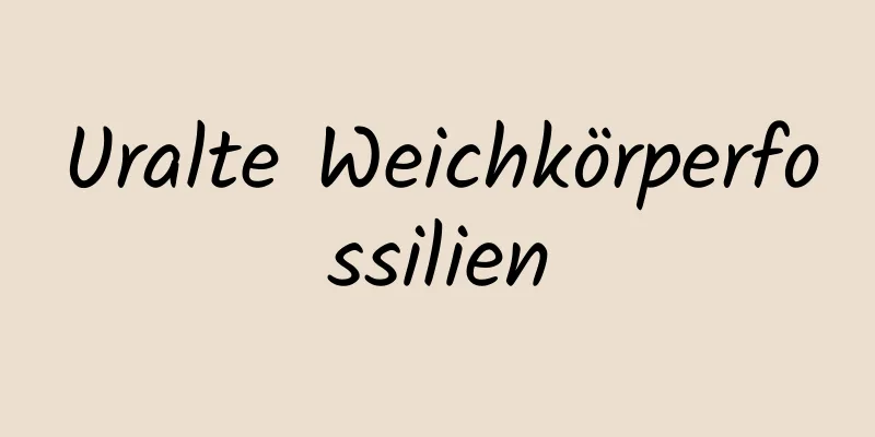 Uralte Weichkörperfossilien